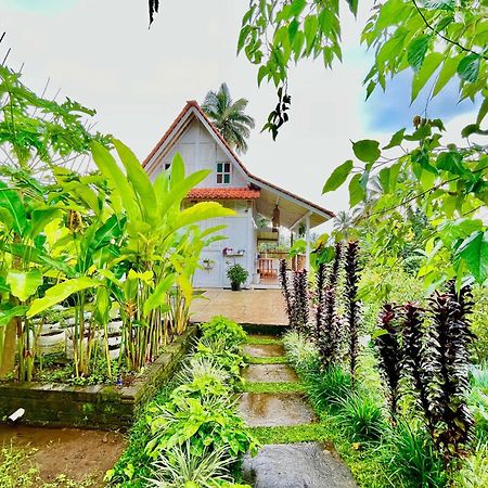 Pondok Is Oke Villa Scenic View Banyuwangi  Exterior foto