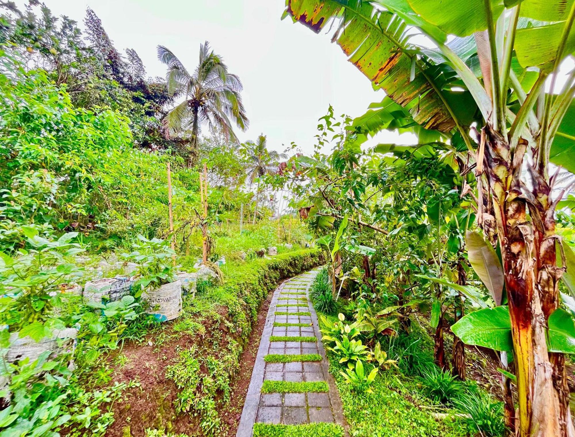 Pondok Is Oke Villa Scenic View Banyuwangi  Exterior foto