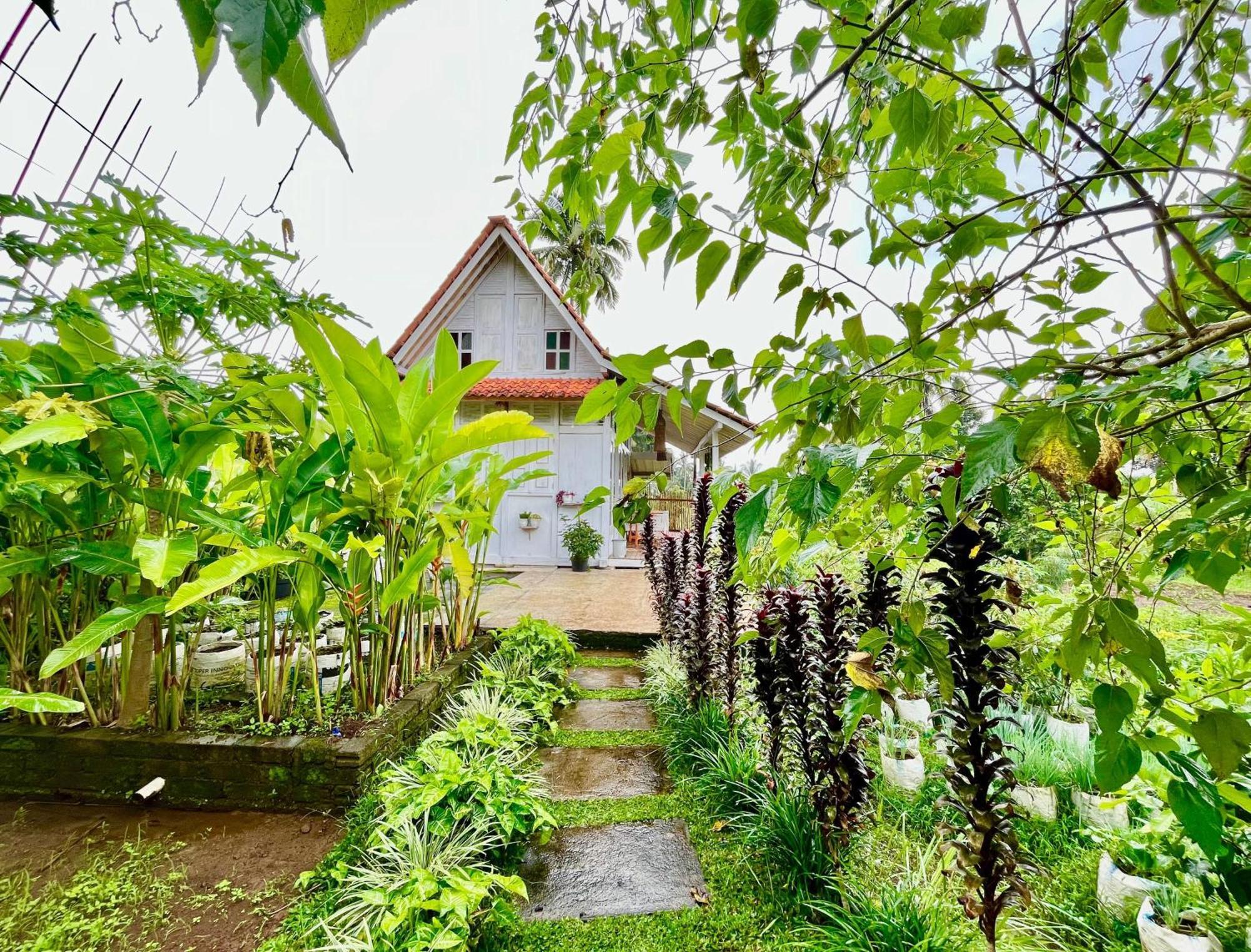Pondok Is Oke Villa Scenic View Banyuwangi  Exterior foto