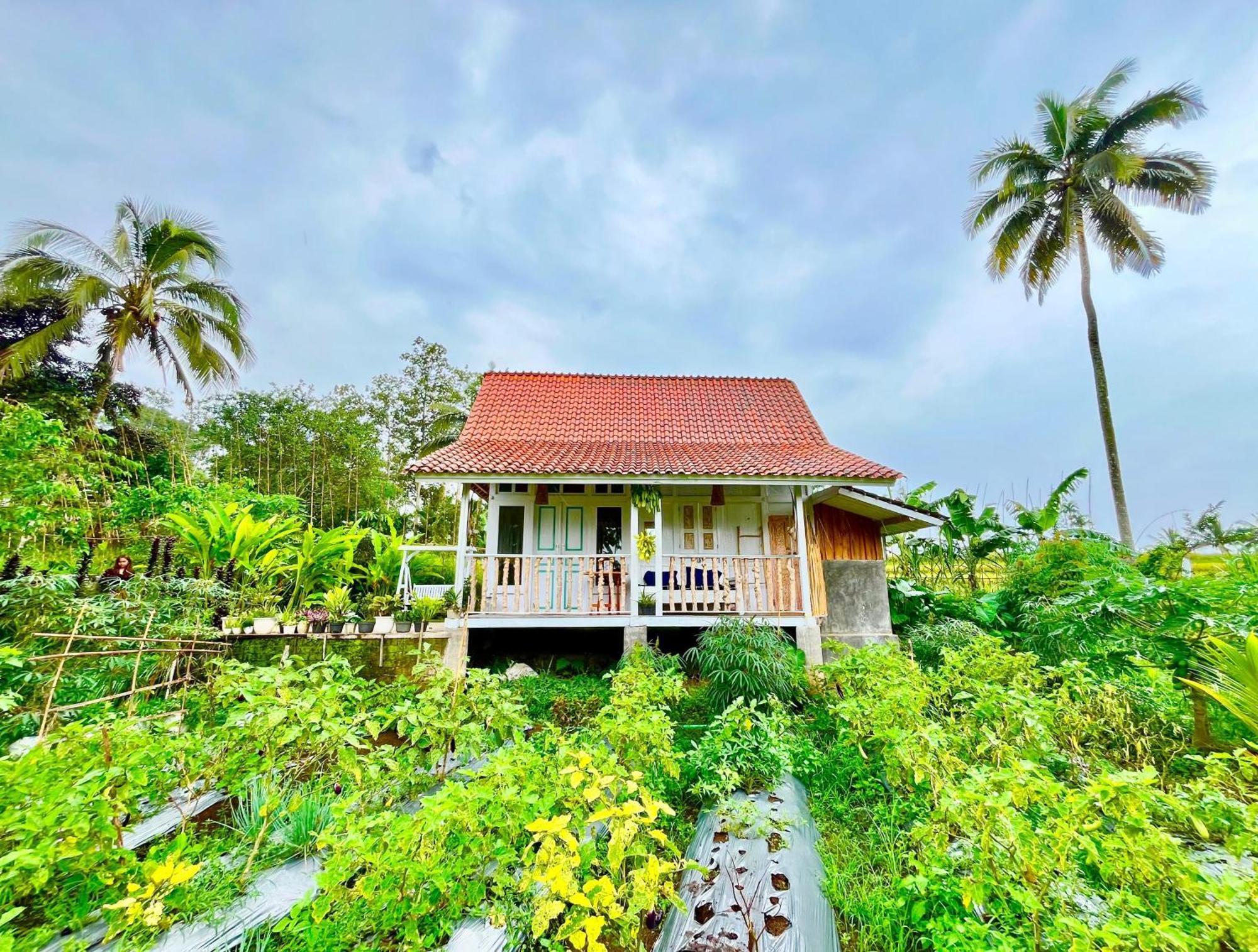 Pondok Is Oke Villa Scenic View Banyuwangi  Exterior foto