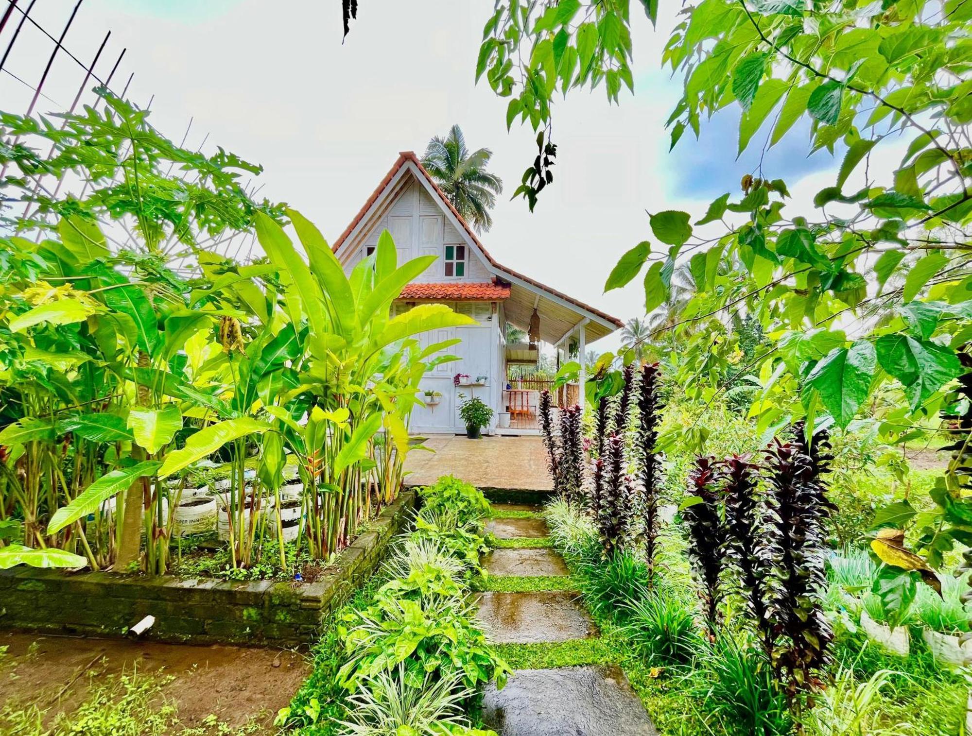 Pondok Is Oke Villa Scenic View Banyuwangi  Exterior foto