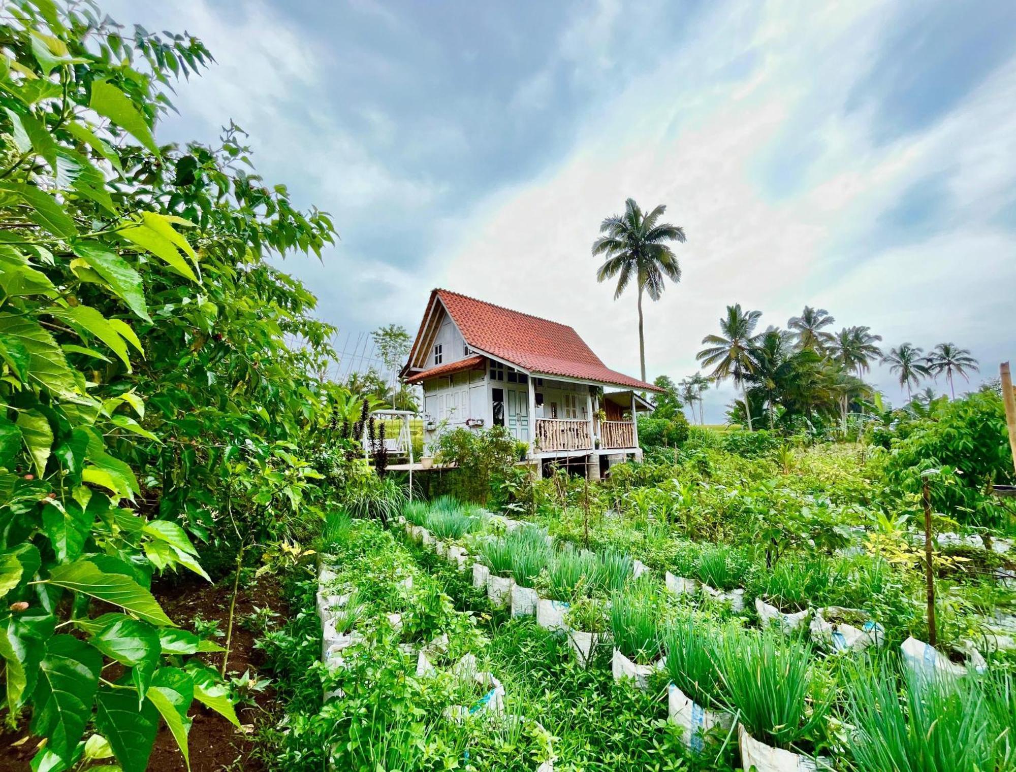 Pondok Is Oke Villa Scenic View Banyuwangi  Exterior foto