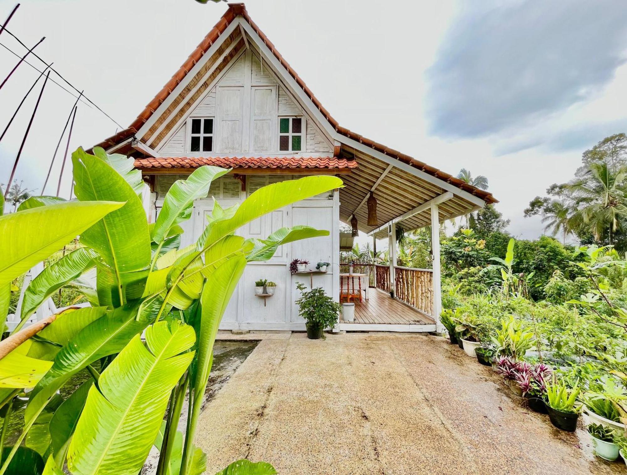 Pondok Is Oke Villa Scenic View Banyuwangi  Exterior foto