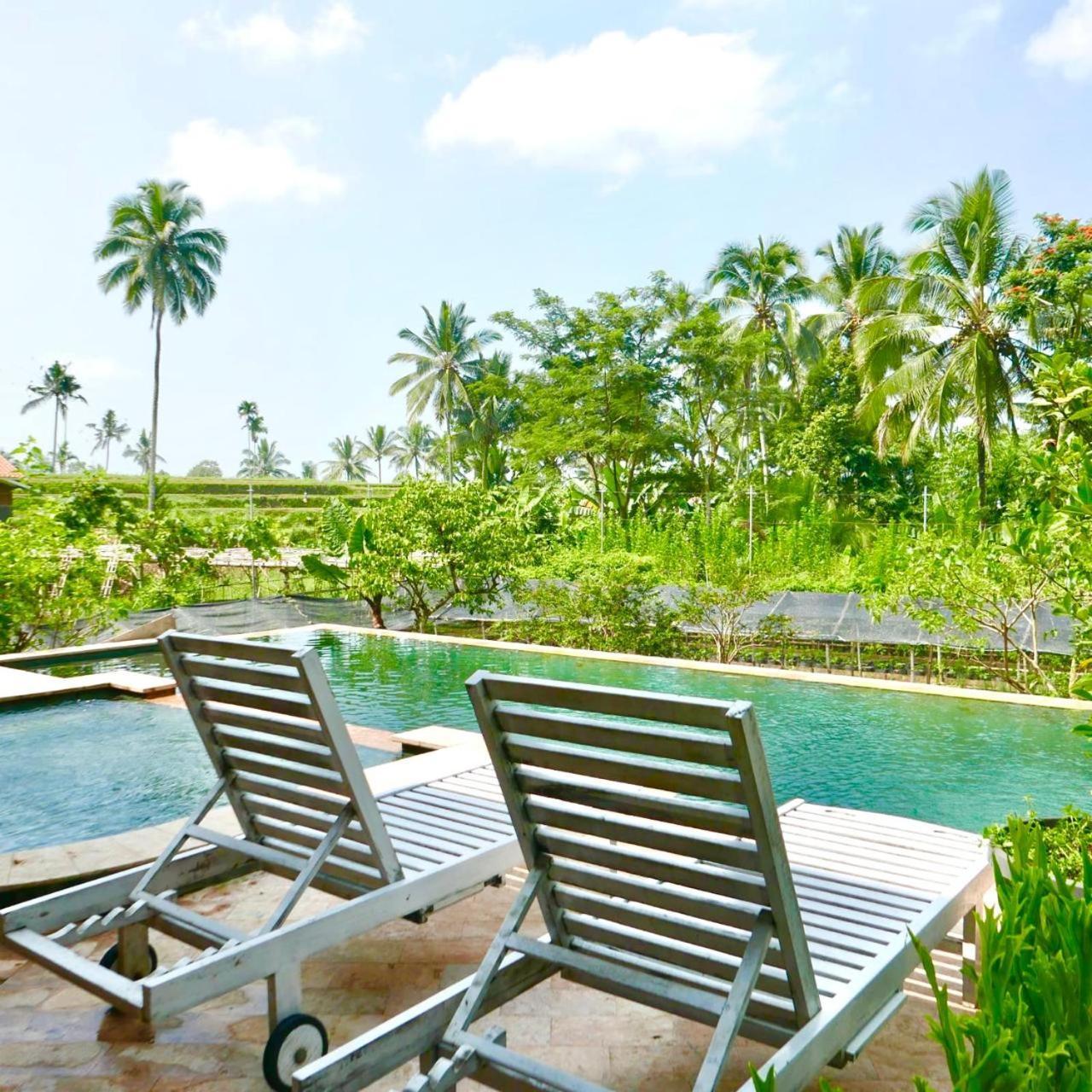 Pondok Is Oke Villa Scenic View Banyuwangi  Exterior foto