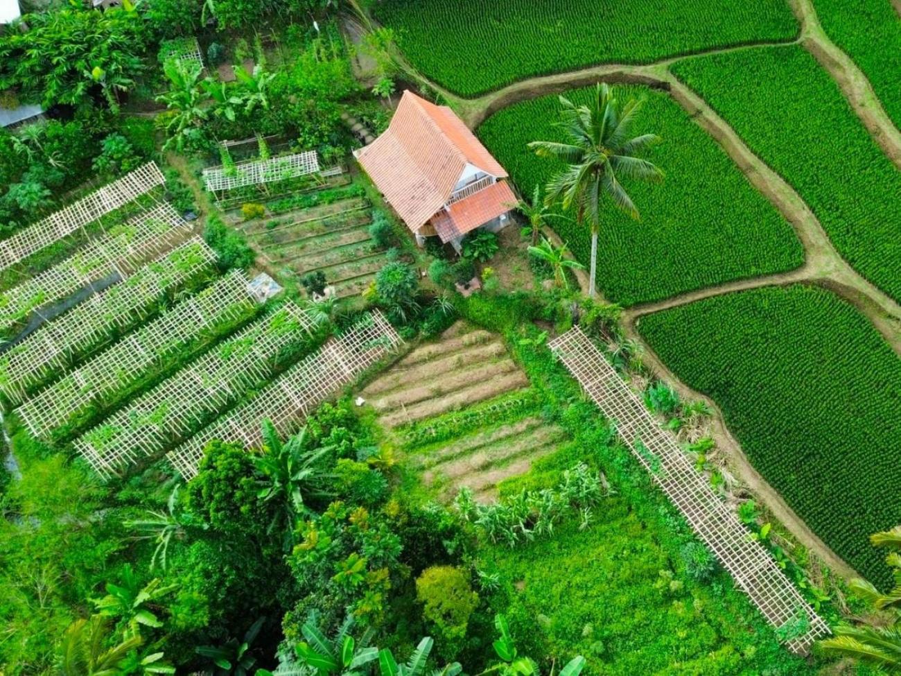 Pondok Is Oke Villa Scenic View Banyuwangi  Exterior foto
