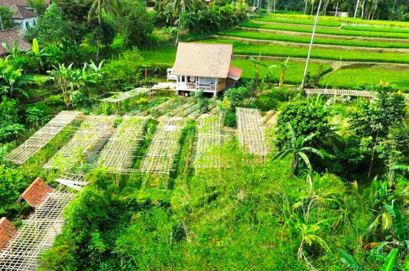 Pondok Is Oke Villa Scenic View Banyuwangi  Exterior foto