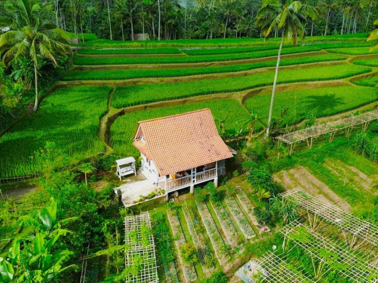 Pondok Is Oke Villa Scenic View Banyuwangi  Exterior foto