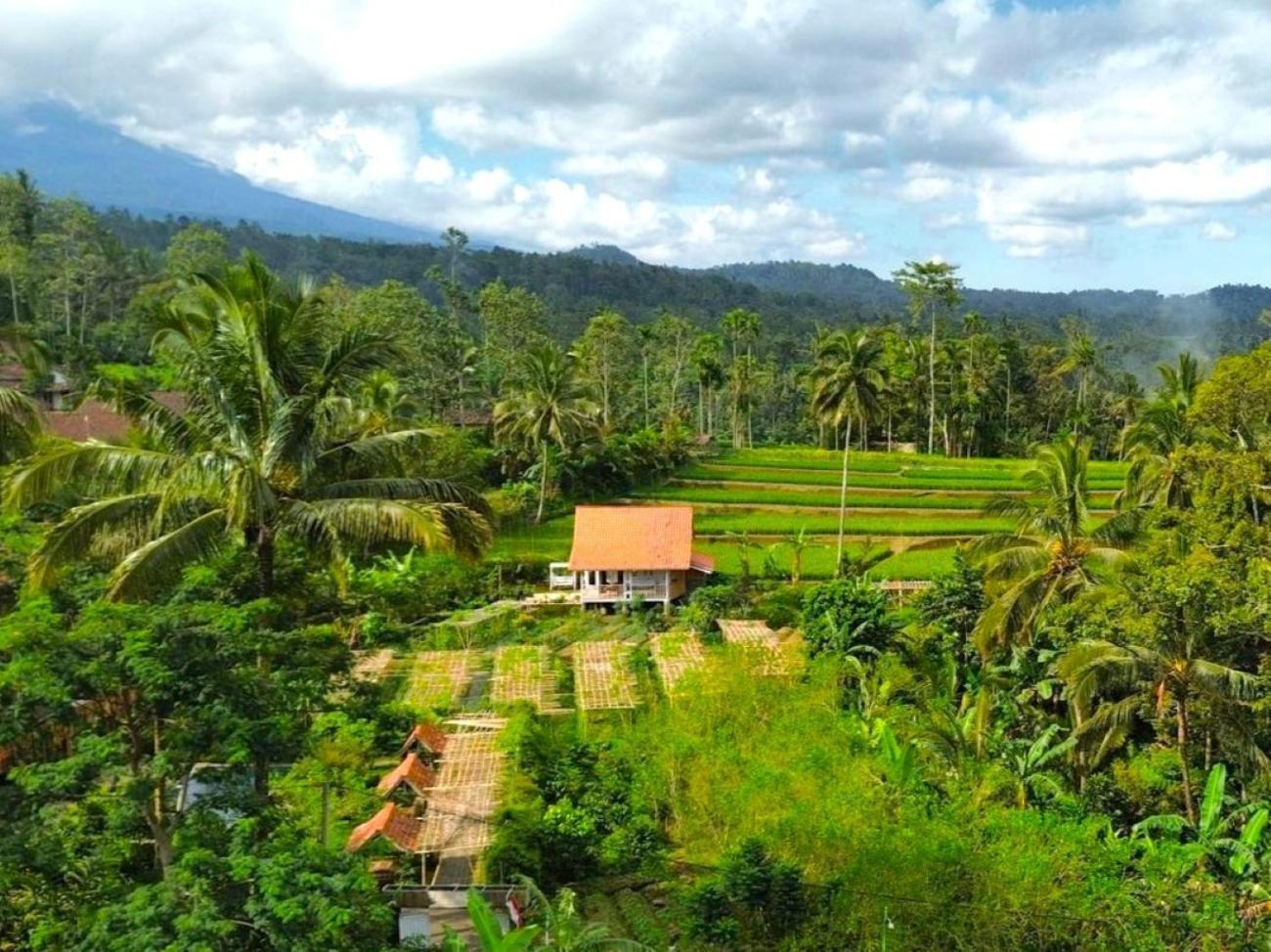 Pondok Is Oke Villa Scenic View Banyuwangi  Exterior foto