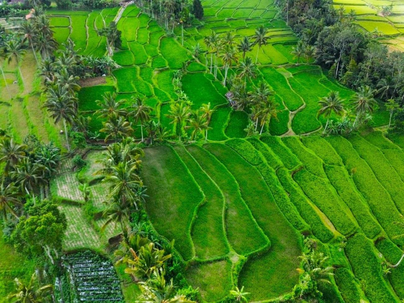 Pondok Is Oke Villa Scenic View Banyuwangi  Exterior foto