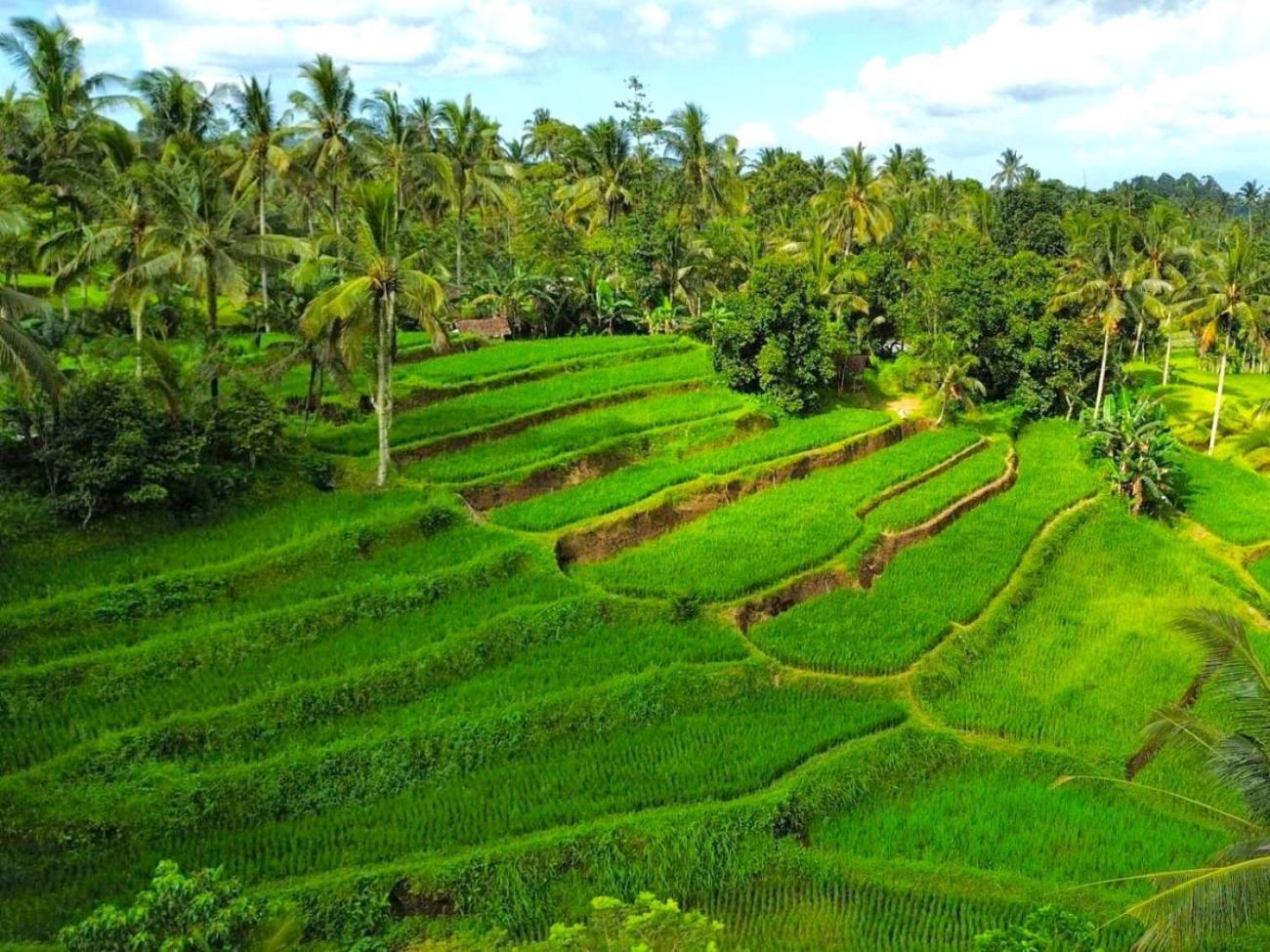 Pondok Is Oke Villa Scenic View Banyuwangi  Exterior foto