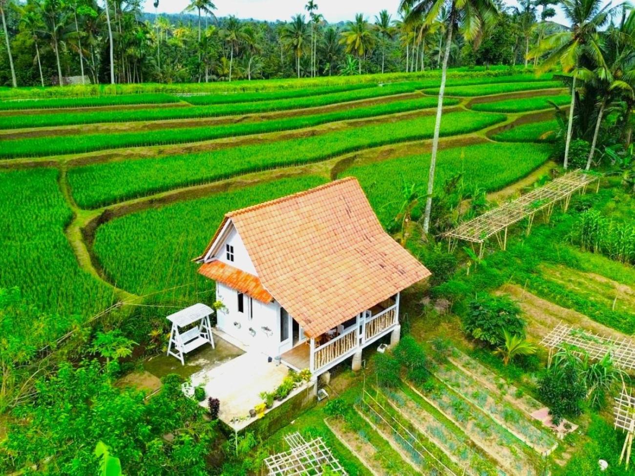 Pondok Is Oke Villa Scenic View Banyuwangi  Exterior foto
